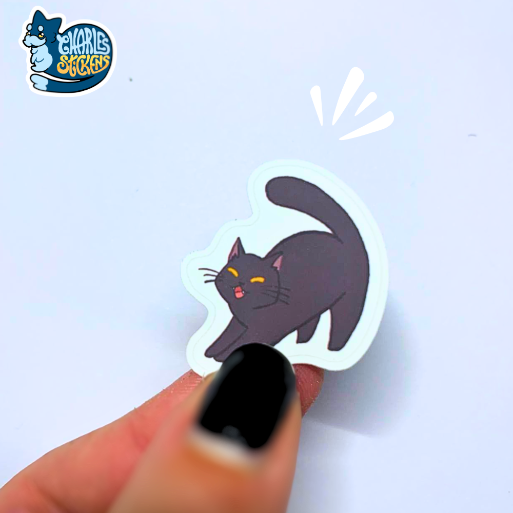 Mixórdia de Gatos
