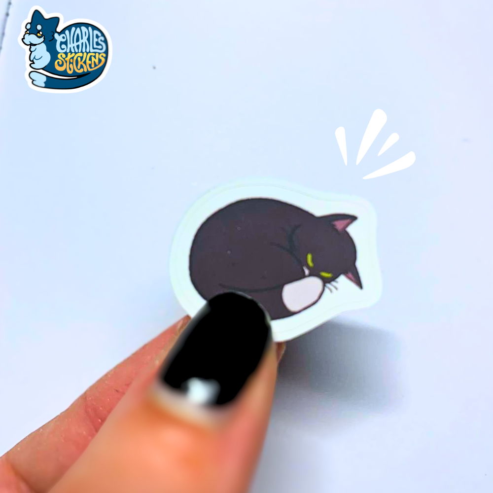 Mixórdia de Gatos